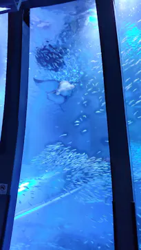 横浜・八景島シーパラダイスに投稿された画像（2023/1/8）