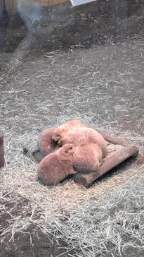 横浜・八景島シーパラダイスに投稿された画像（2023/1/8）