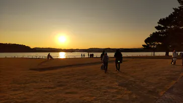横浜・八景島シーパラダイスに投稿された画像（2023/1/8）