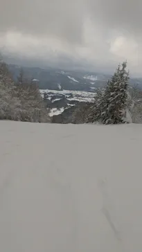 花輪スキー場　アルパスに投稿された画像（2023/1/8）