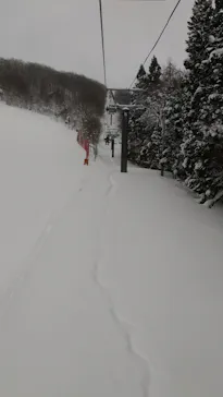 花輪スキー場　アルパスに投稿された画像（2023/1/8）