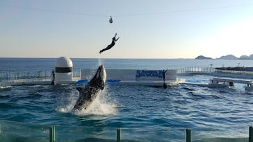 鴨川シーワールドに投稿された画像（2023/1/8）