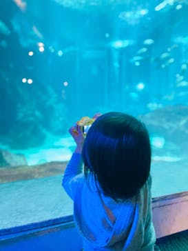 マリンワールド海の中道に投稿された画像（2023/1/8）