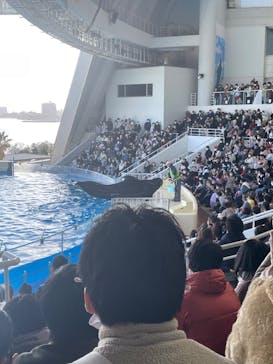 マリンワールド海の中道に投稿された画像（2023/1/8）