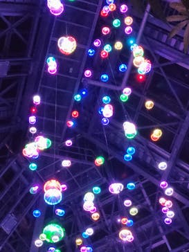 大阪府立花の文化園に投稿された画像（2023/1/8）