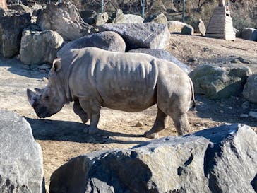 群馬サファリパークに投稿された画像（2023/1/9）
