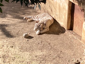 群馬サファリパークに投稿された画像（2023/1/9）