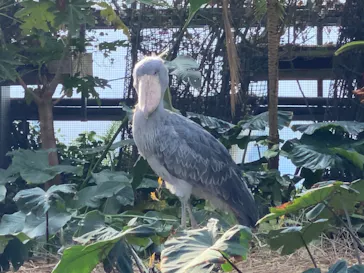 神戸どうぶつ王国に投稿された画像（2023/1/9）