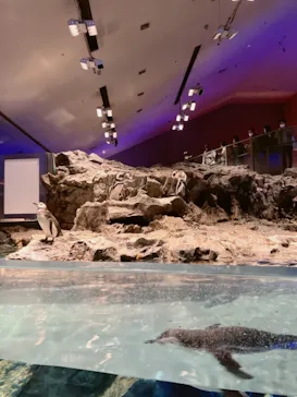 すみだ水族館に投稿された画像（2023/1/9）