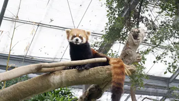 神戸どうぶつ王国に投稿された画像（2023/1/9）