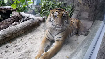 神戸どうぶつ王国に投稿された画像（2023/1/9）