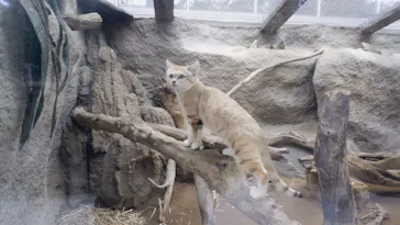 神戸どうぶつ王国に投稿された画像（2023/1/9）