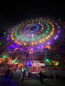 レオマリゾートに投稿された画像（2023/1/9）