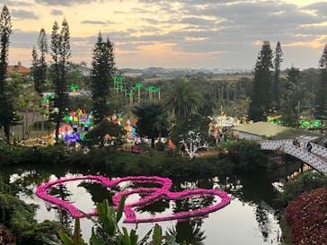 美らヤシパークオキナワ・東南植物楽園に投稿された画像（2023/1/9）