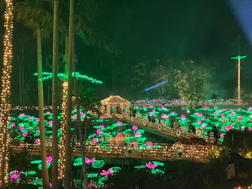 美らヤシパークオキナワ・東南植物楽園に投稿された画像（2023/1/9）