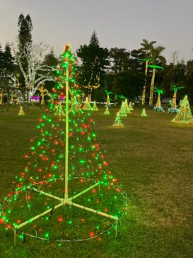 美らヤシパークオキナワ・東南植物楽園に投稿された画像（2023/1/9）