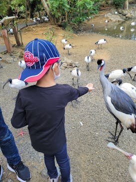 ネオパークオキナワに投稿された画像（2023/1/9）