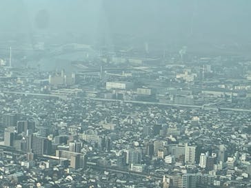 ハルカス300(展望台)に投稿された画像（2023/1/9）