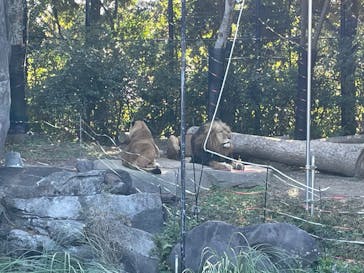 到津の森公園に投稿された画像（2023/1/9）
