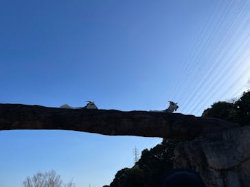 到津の森公園に投稿された画像（2023/1/9）