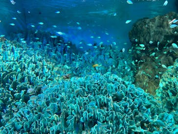 サンシャイン水族館に投稿された画像（2023/1/9）