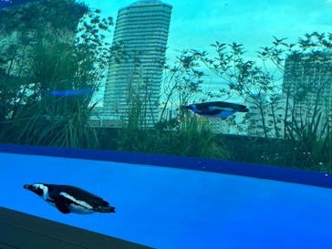 サンシャイン水族館に投稿された画像（2023/1/9）