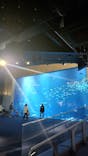 四国水族館に投稿された画像（2023/1/9）