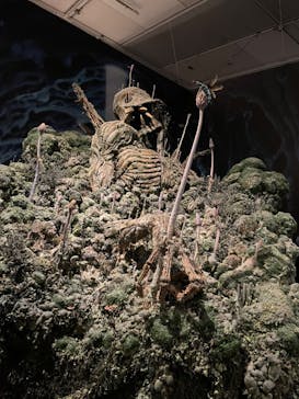 アニメージュとジブリ展に投稿された画像（2023/1/9）