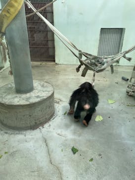 沖縄こどもの国に投稿された画像（2023/1/9）