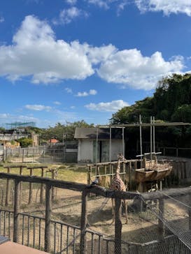 沖縄こどもの国に投稿された画像（2023/1/9）