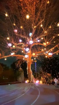 西武園ゆうえんちに投稿された画像（2023/1/9）