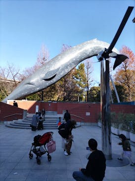 国立科学博物館に投稿された画像（2023/1/9）