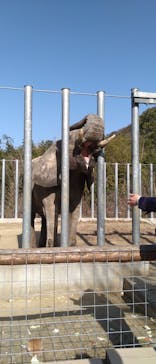 しろとり動物園に投稿された画像（2023/1/9）