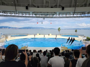 マリンワールド海の中道に投稿された画像（2022/8/11）