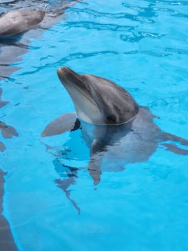 マリンワールド海の中道に投稿された画像（2022/8/11）