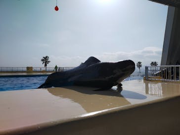 マリンワールド海の中道に投稿された画像（2023/1/9）