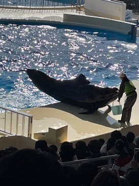 マリンワールド海の中道に投稿された画像（2023/1/9）