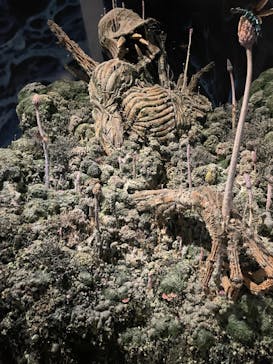 アニメージュとジブリ展に投稿された画像（2023/1/9）