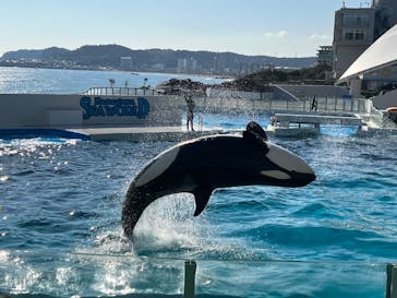 鴨川シーワールドに投稿された画像（2023/1/9）