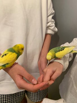 Moff animal cafe イオンモール幕張新都心店に投稿された画像（2023/1/9）