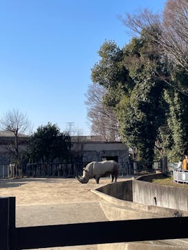 東武動物公園に投稿された画像（2023/1/9）