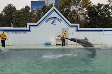 しながわ水族館に投稿された画像（2023/1/9）