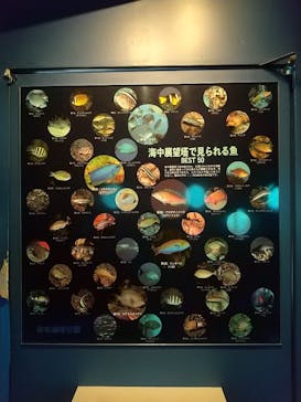 串本海中公園水族館に投稿された画像（2023/1/9）