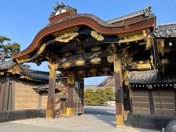 元離宮二条城に投稿された画像（2023/1/9）