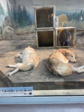 天王寺動物園に投稿された画像（2023/1/9）