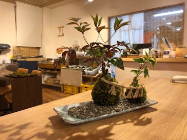 ゼロ距離水族館 伊勢シーパラダイスに投稿された画像（2023/1/9）