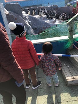 南知多ビーチランド＆南知多おもちゃ王国に投稿された画像（2023/1/9）