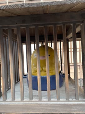 東映太秦映画村に投稿された画像（2023/1/9）