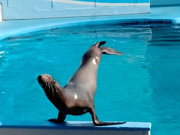 南知多ビーチランド＆南知多おもちゃ王国に投稿された画像（2023/1/9）