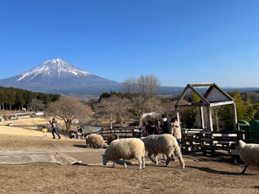 まかいの牧場に投稿された画像（2023/1/9）